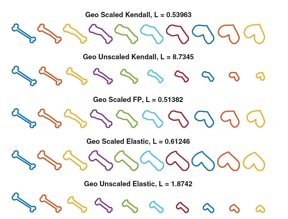 Geodesic shapes